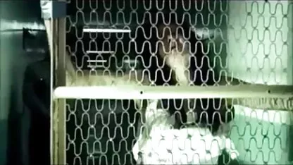 nhộng búp bê thích thống & sự khó khăn hơn phim sec 3